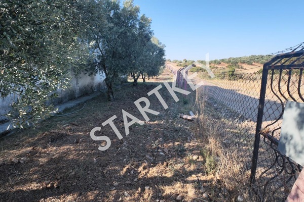 Property-photo