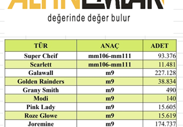 NİĞDE MERKEZ DİKİLİTAŞ BÖLGESİNDE 1307 DÖNÜM ELMA BAHÇESİ