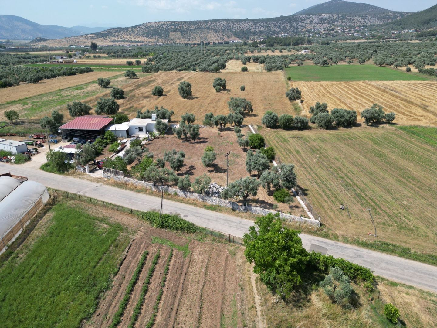 Property-photo
