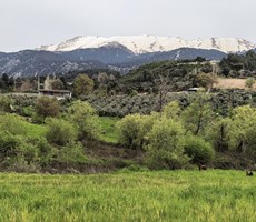 SEYDİKEMER YAKA’DA TARİH VE DOĞA İLE İÇ İÇE YAPI YAPMA İZNİ OLAN GENİŞ ARAZİ