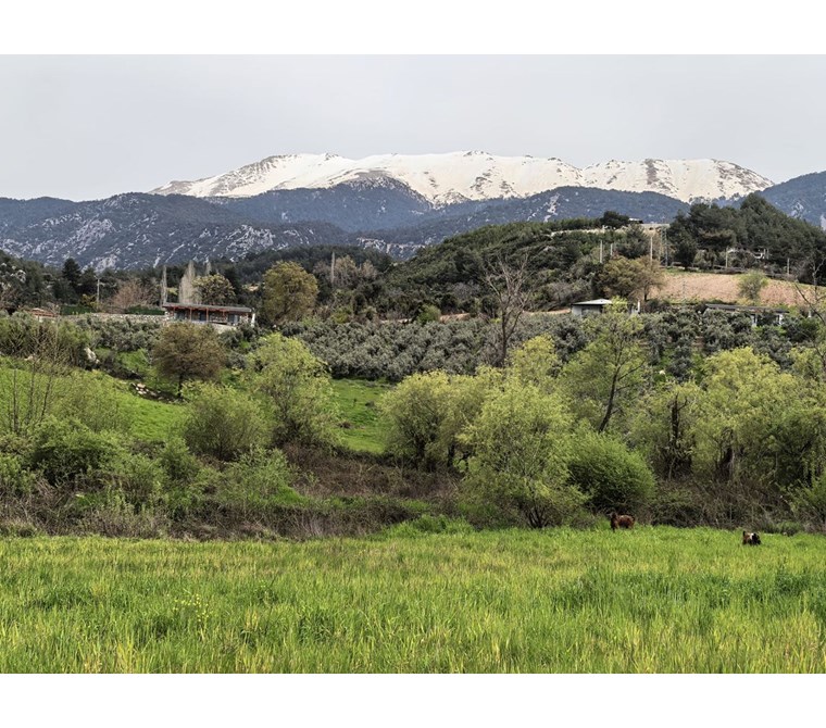 SEYDİKEMER YAKA’DA TARİH VE DOĞA İLE İÇ İÇE YAPI YAPMA İZNİ OLAN GENİŞ ARAZİ