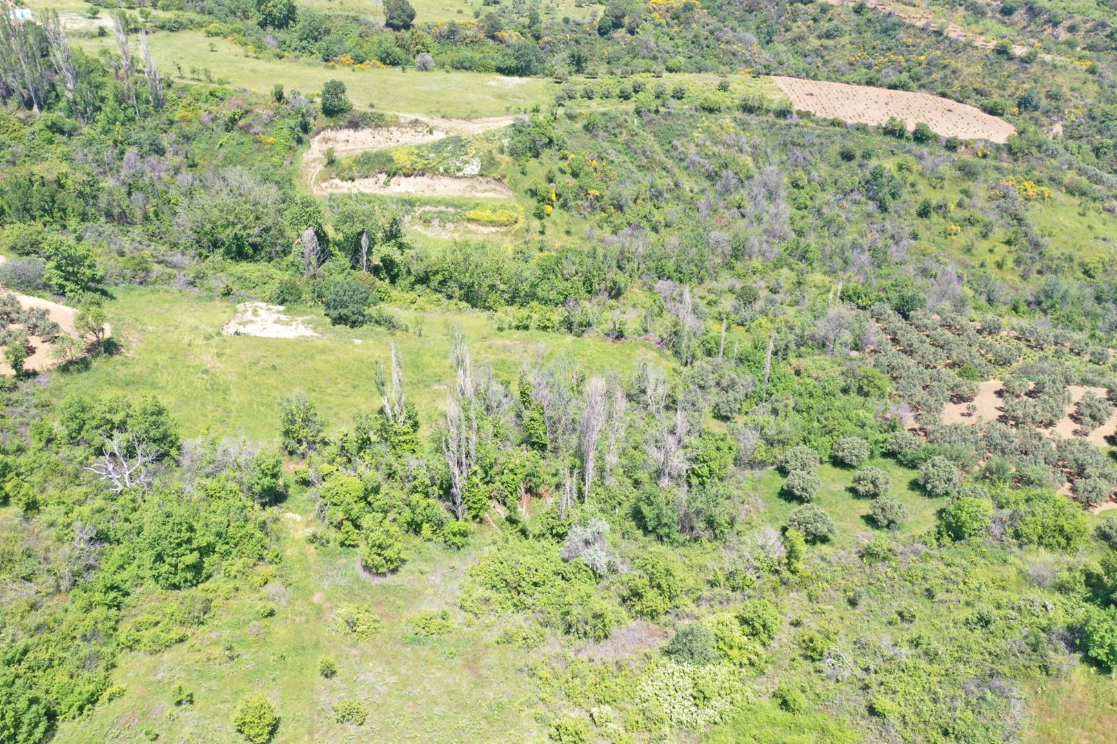 Property-photo