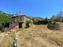 MİLAS SAKARKAYA MAHALLESİNDE 2500M2 BAHÇE İÇERİSİNDE TAŞ EV