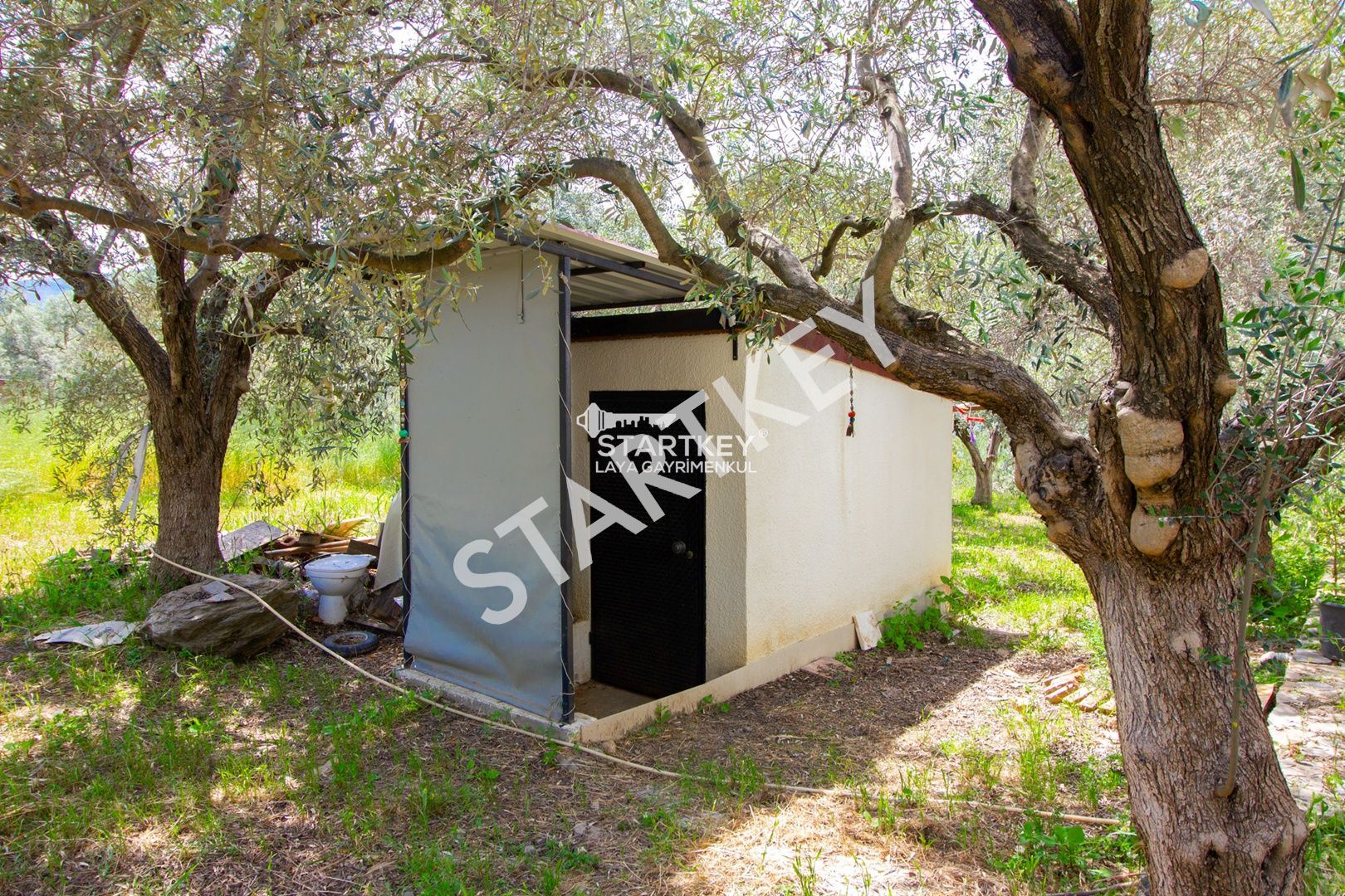 Property-photo