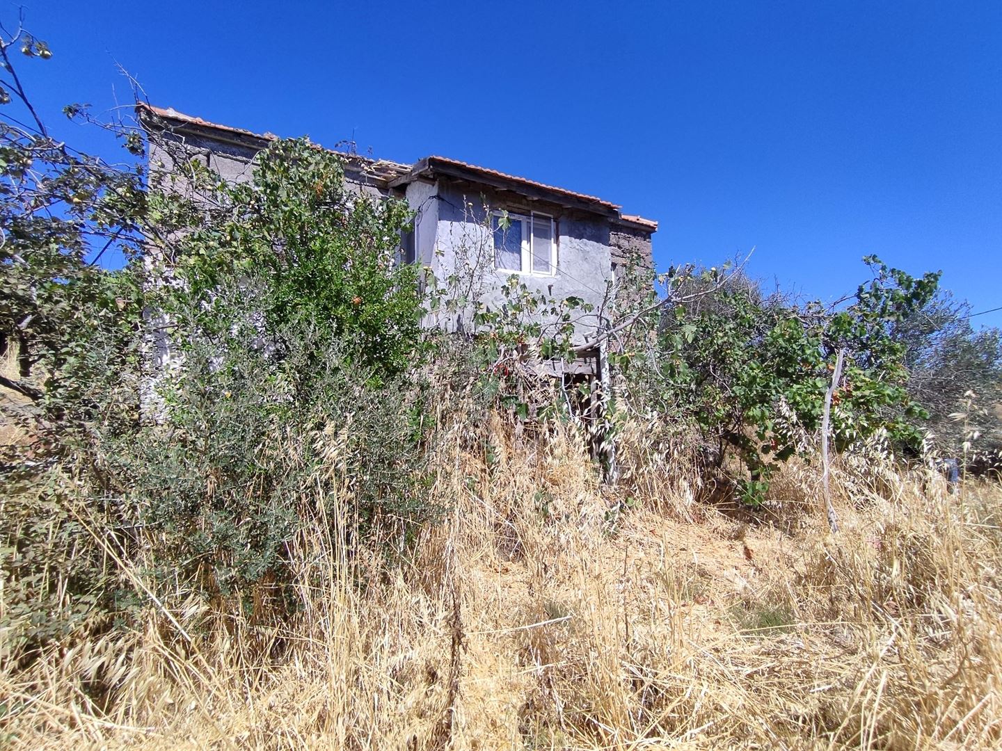 Property-photo