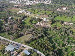 Bodrum yaka'da satılık 16.141M2 asfalt yola sıfır zeytinli tarla