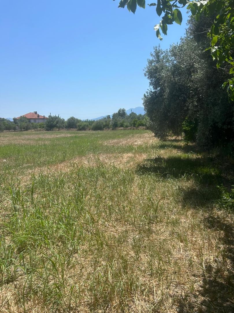 Property-photo