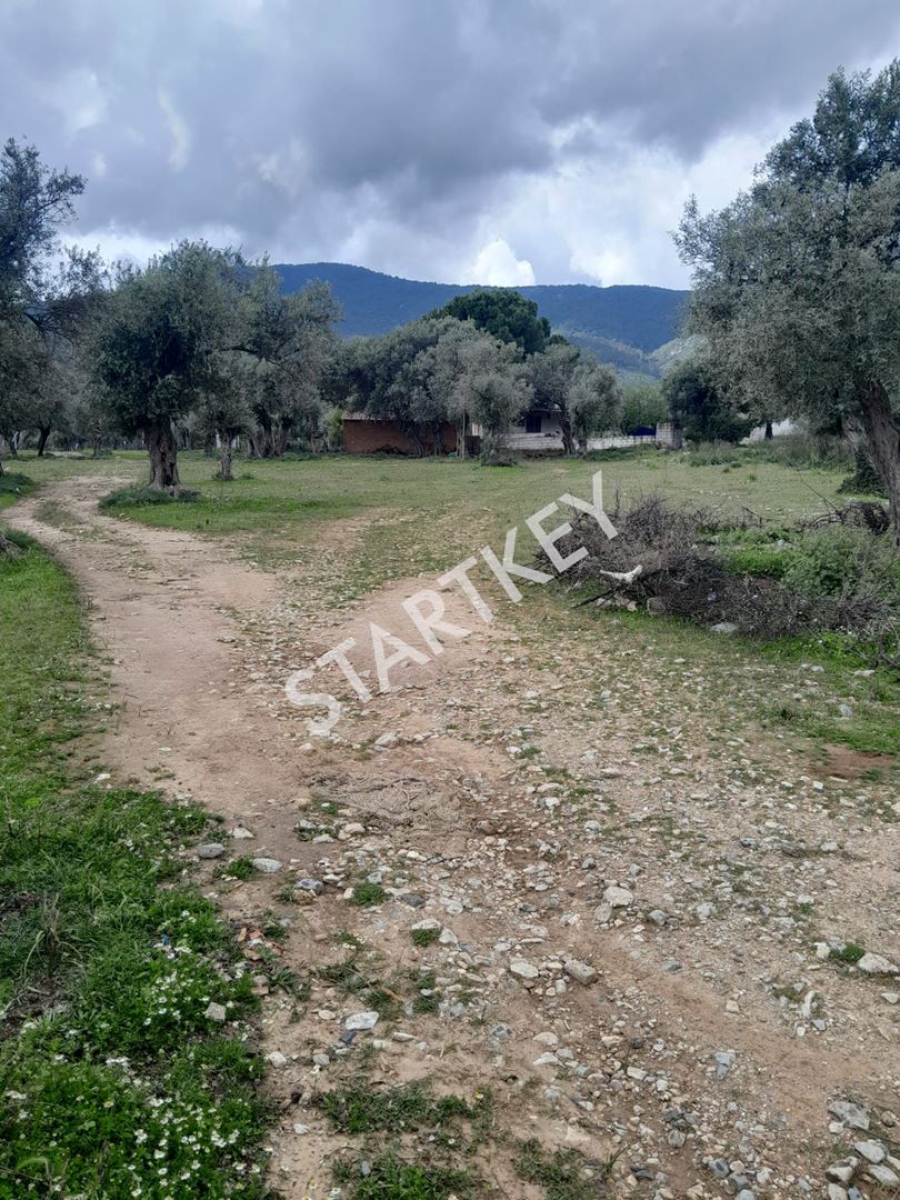 Property-photo