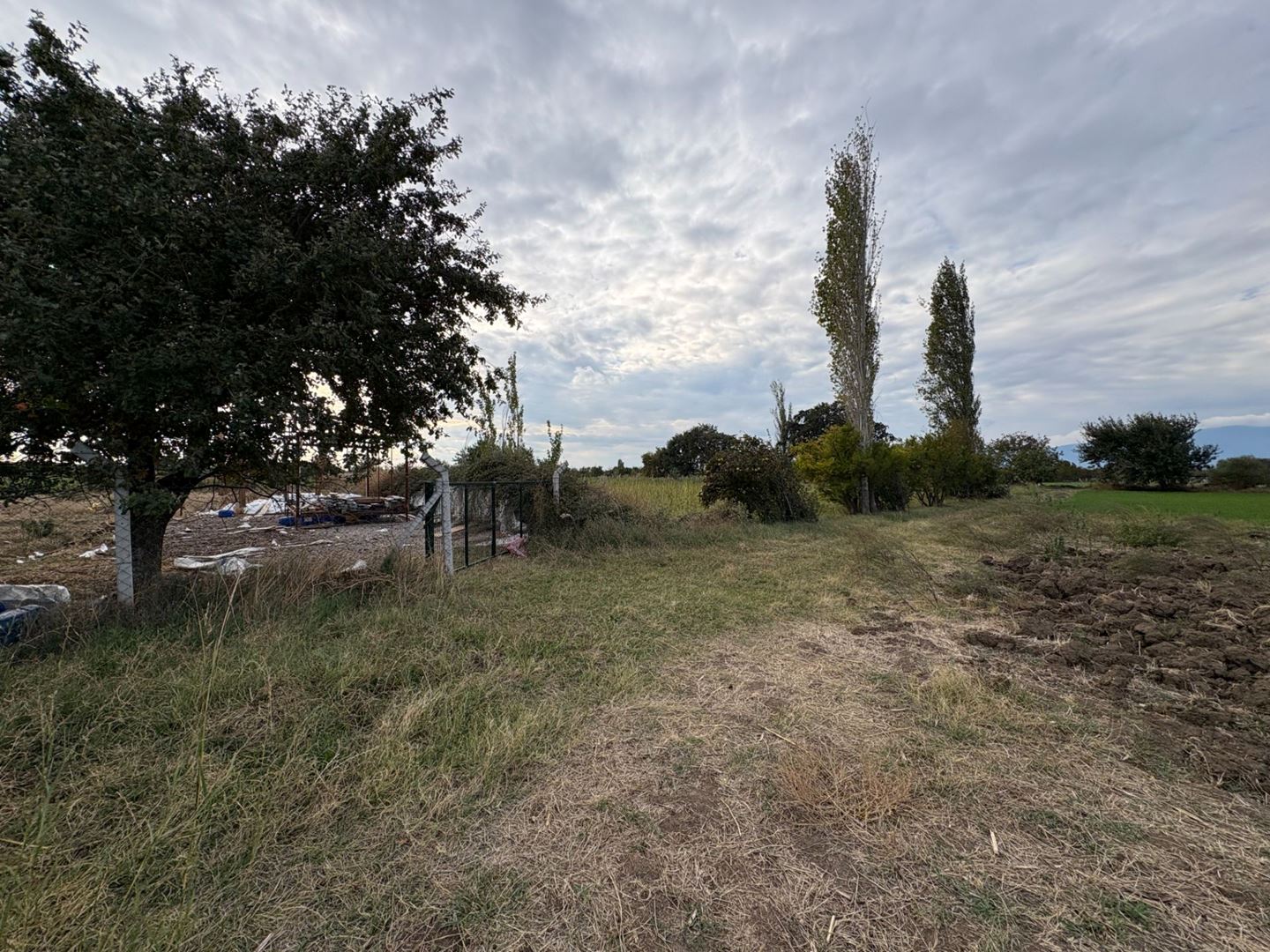 Property-photo