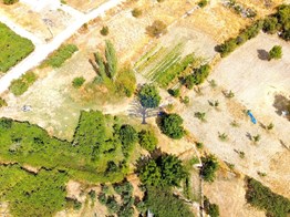 Antalya Kaş İkizce satılık müstakil 4575m² arsa ve 2+1 taş ev