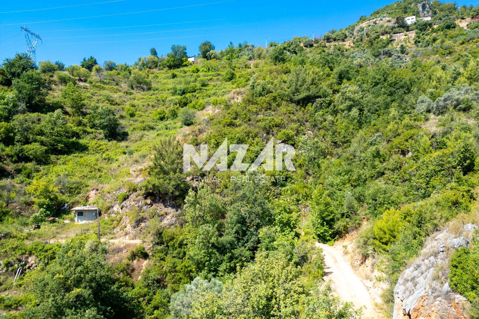 Property-photo