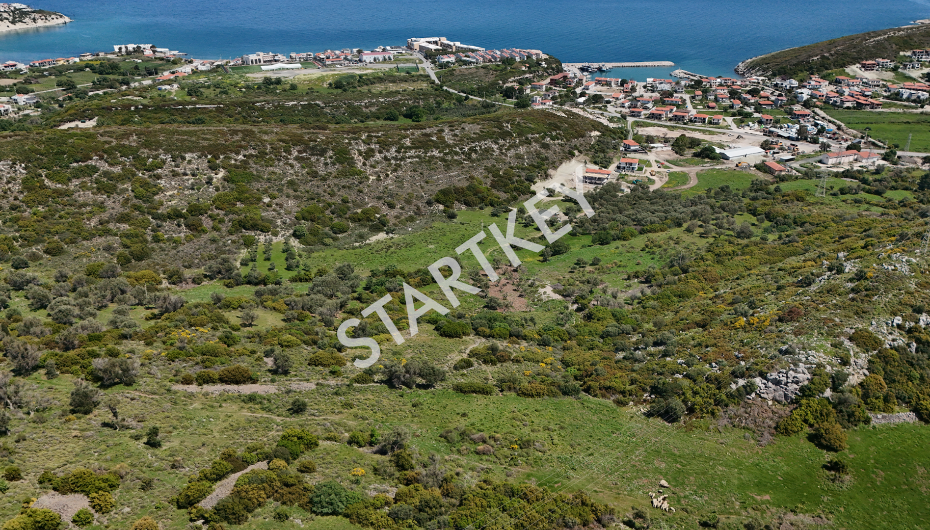 Property-photo