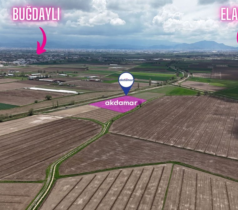 AKDAMAR - KOCASİNAN BUĞDAYLI MAHALLESİNDE SATILIK TARLA