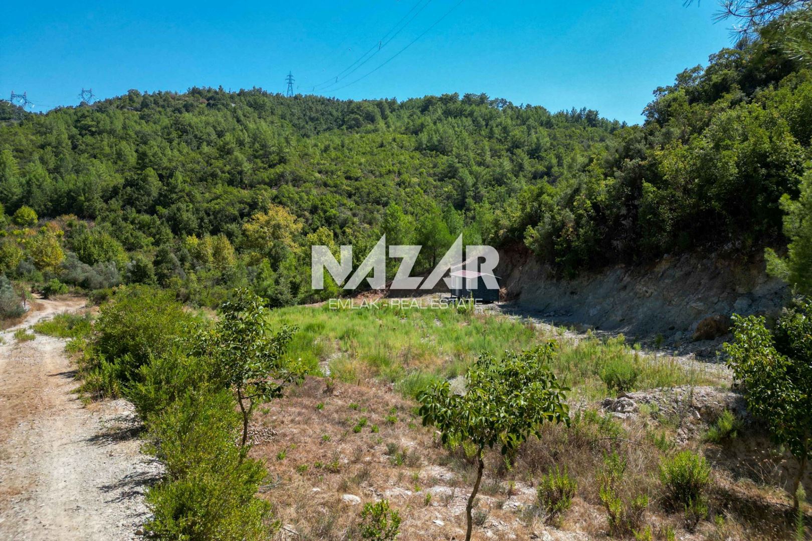 Property-photo
