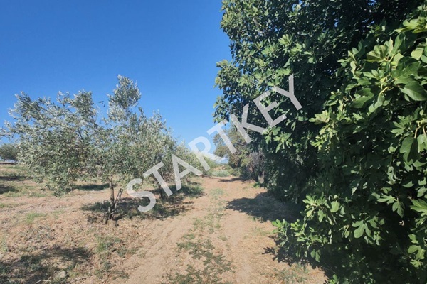 Property-photo