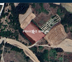 ORHANİYE'DE MERA DİBİNDE SATILIK 3.870m2 TARLA