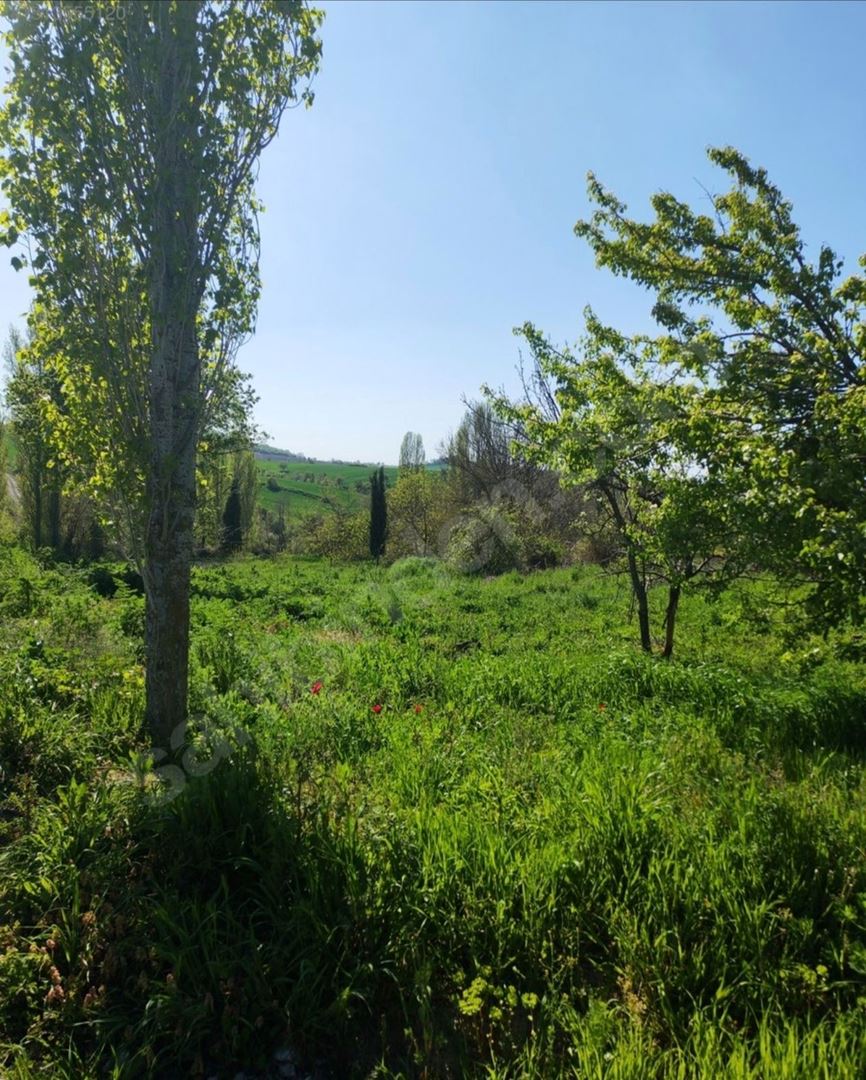 Property-photo