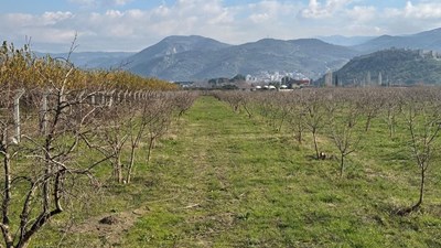 İNŞAAT YAPI RUHSATI ALINMIŞ İZMİR SELÇUK'TA 13700 M2 BAHÇE