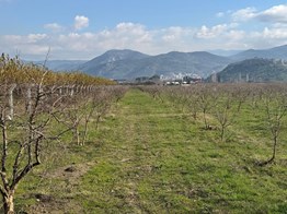 İNŞAAT YAPI RUHSATI ALINMIŞ İZMİR SELÇUK'TA 13700 M2 BAHÇE