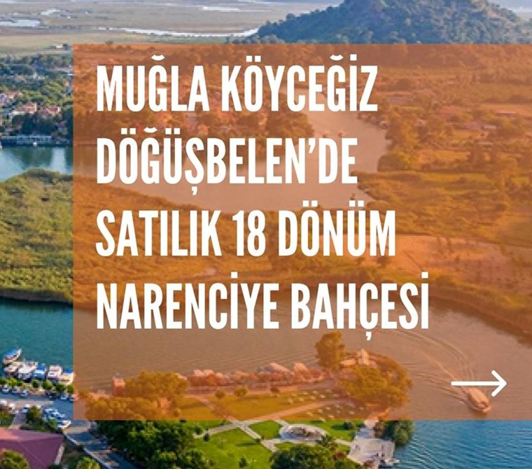 MUĞLA KÖYCEĞİZ DÖĞÜŞBELEN MH 18547M2 NARENCİYE BAHÇESİ