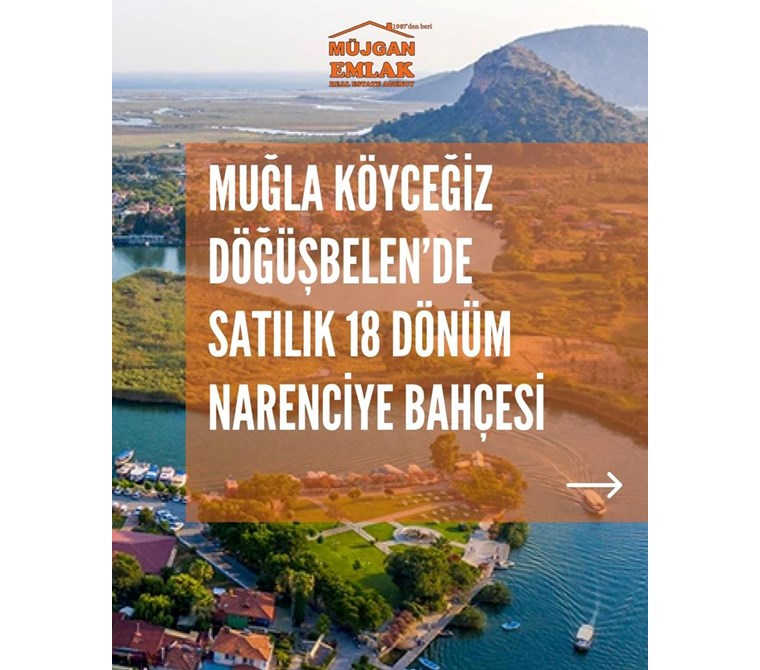 MUĞLA KÖYCEĞİZ DÖĞÜŞBELEN MH 18547M2 NARENCİYE BAHÇESİ