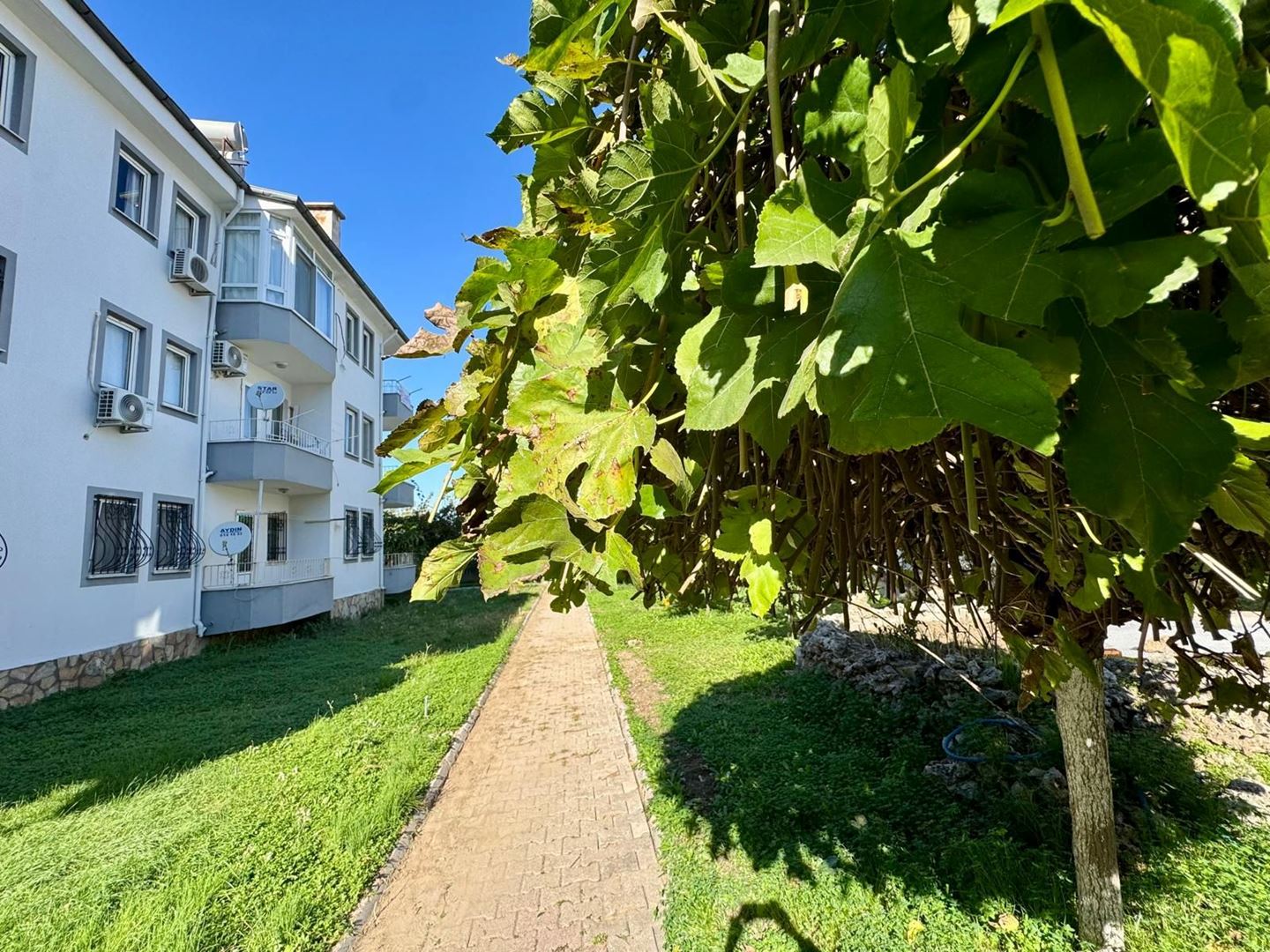 Property-photo