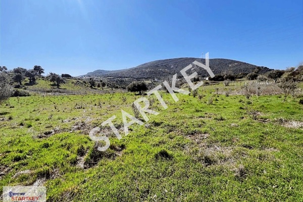 Property-photo