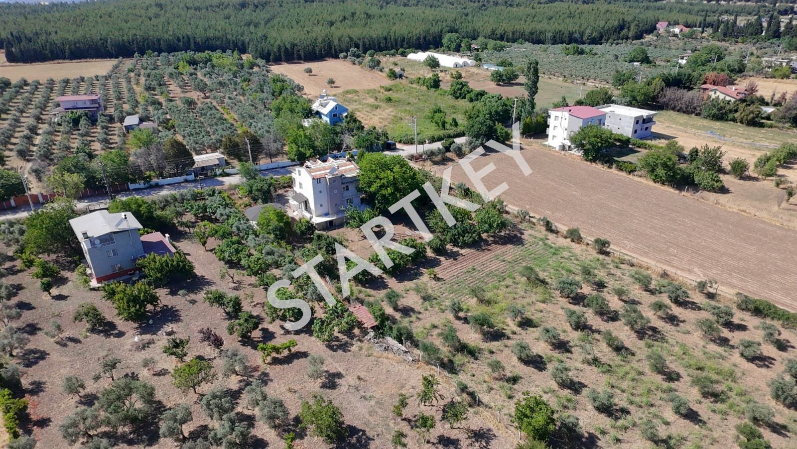 Property-photo