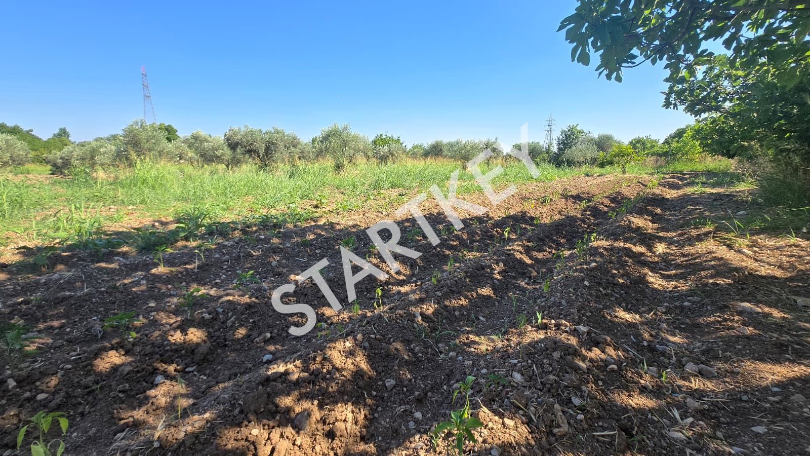 Property-photo