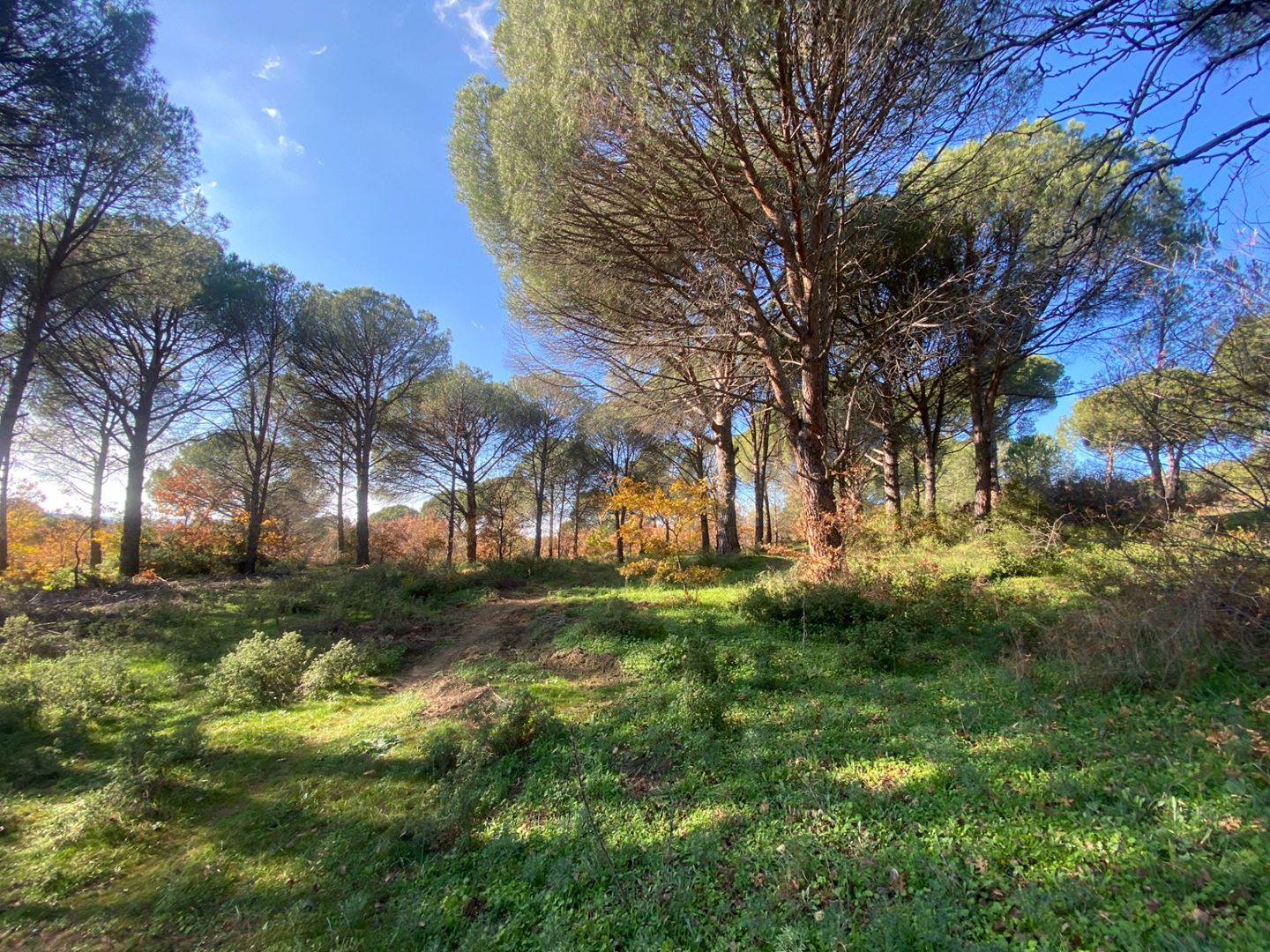 Property-photo