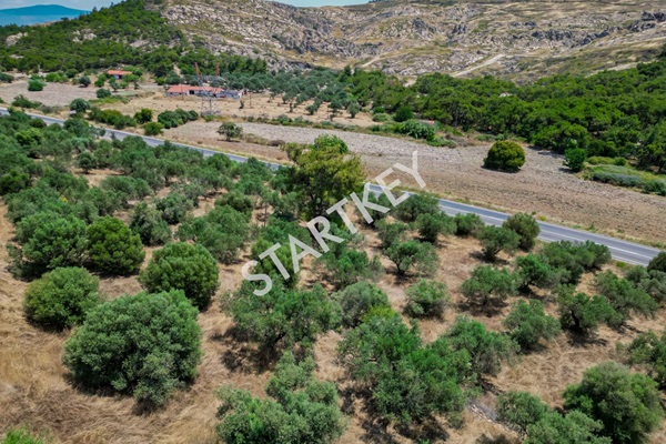 Property-photo