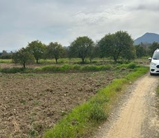 MUĞLA KÖYCEĞİZ BEYOBASI MH 1635M2 TARLA