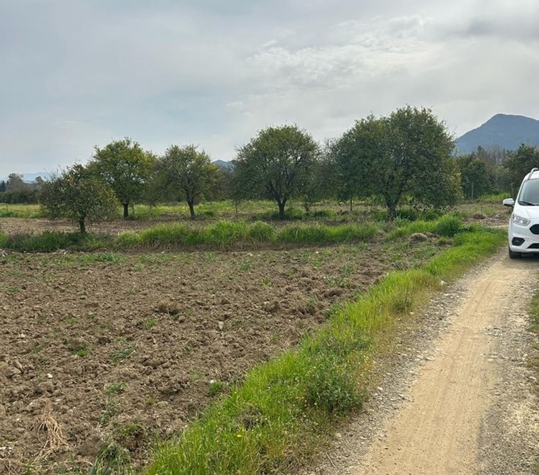 MUĞLA KÖYCEĞİZ BEYOBASI MH 1635M2 TARLA