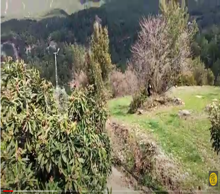 Dalaman gürleyk köyünde satılık 2200 m2 bahçe