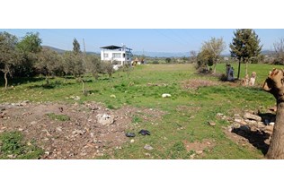 property-1