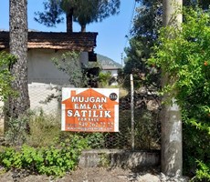 köyceğiz yangıda satılık 6690 m2 imarlı bahçe