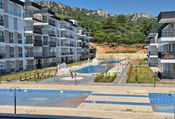property-5