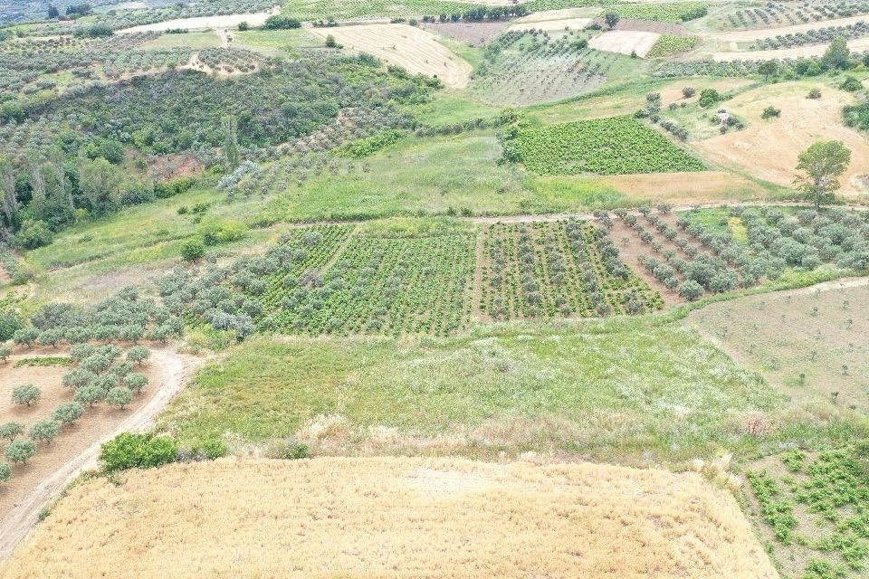Property-photo