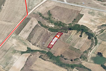 KIRKLARELİ KAVAKDERE KÖYÜ'NDE EVE-ÇİFTLİĞE UYGUN 2000 M2