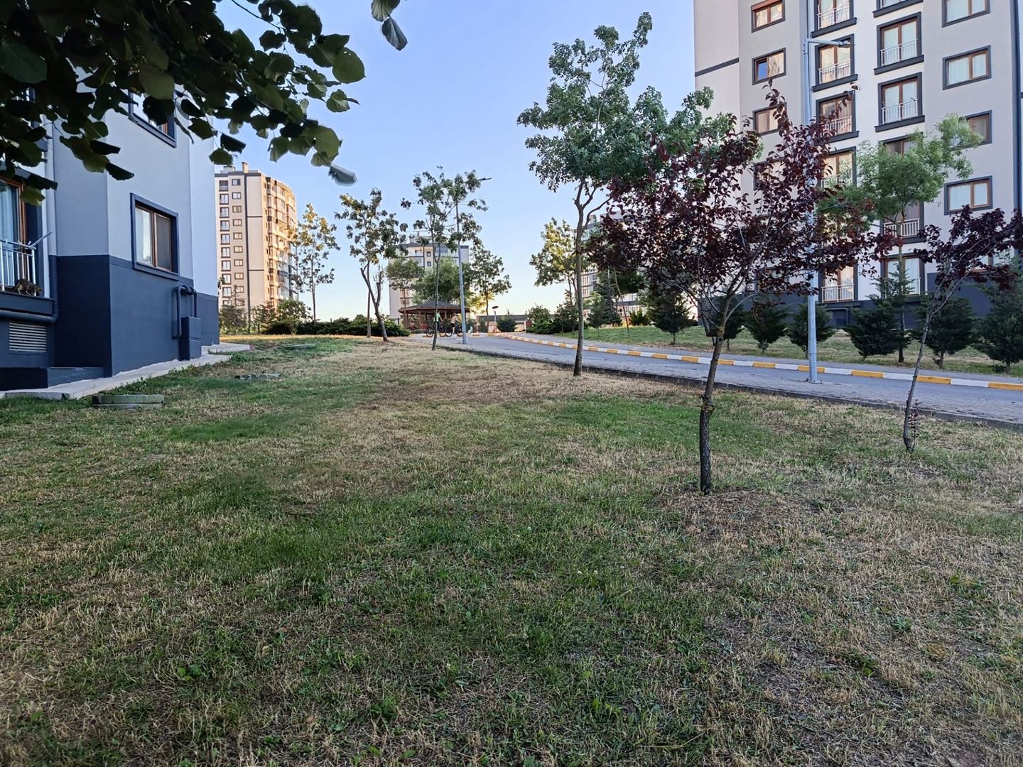 Property-photo
