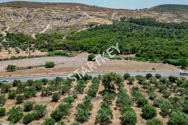 Property-photo