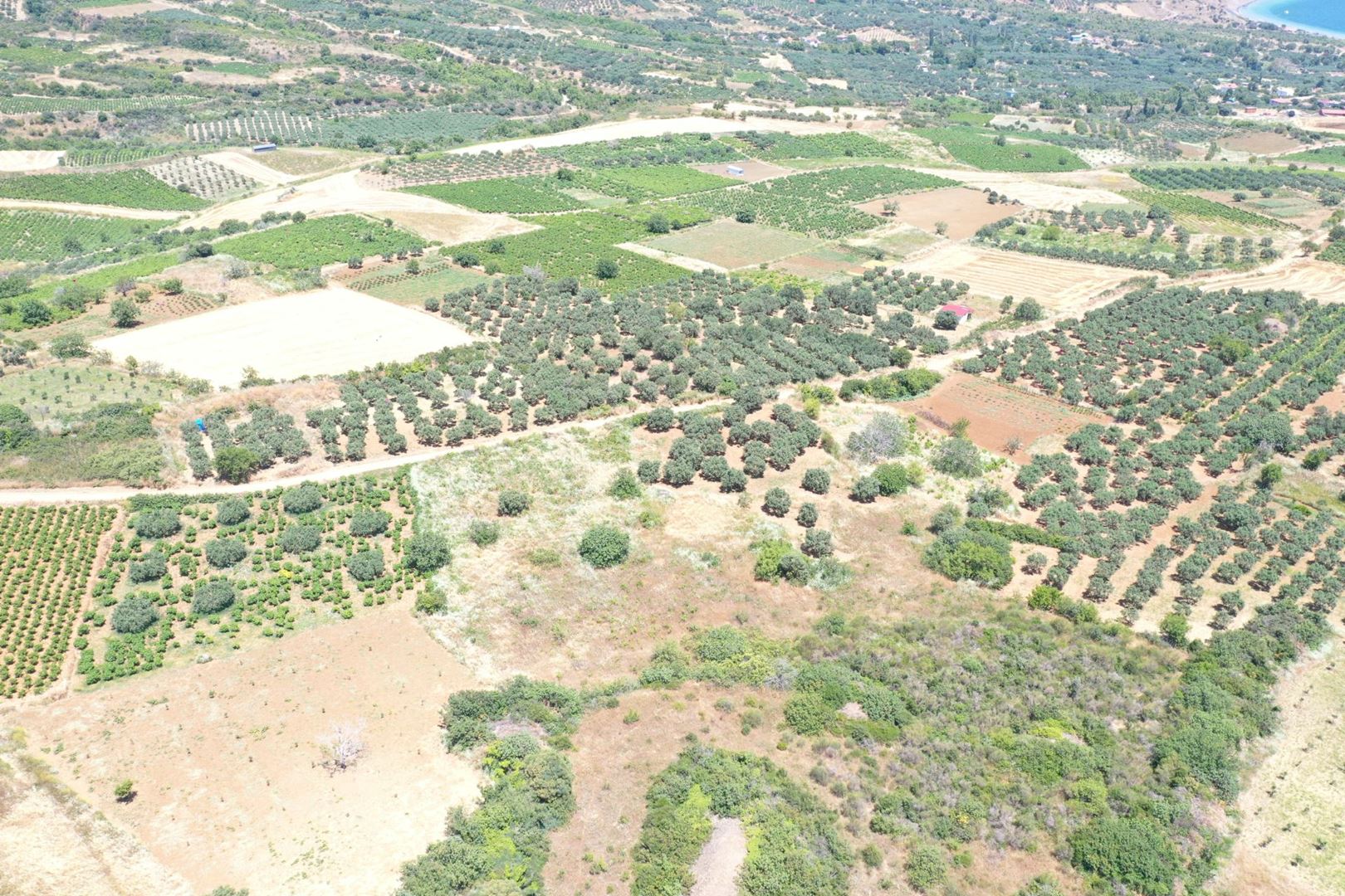 Property-photo