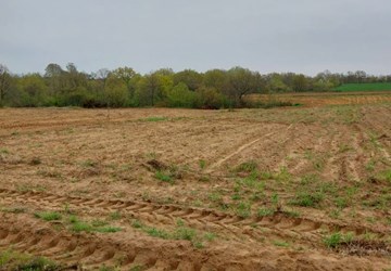 Edirne Meriç Hasırca Arnavut Köyü Satılık Tek Tapu Tarla 2920 m2