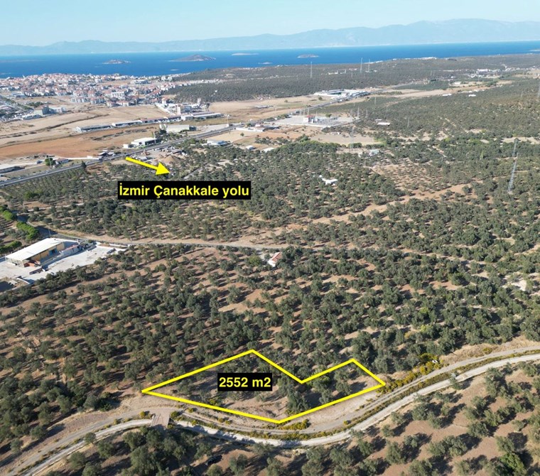 ALTIN EMLAKTAN AYVALIK KAZIMKARABEKİRDE 2.552 M2 SATILIK ZEYTİNLİK