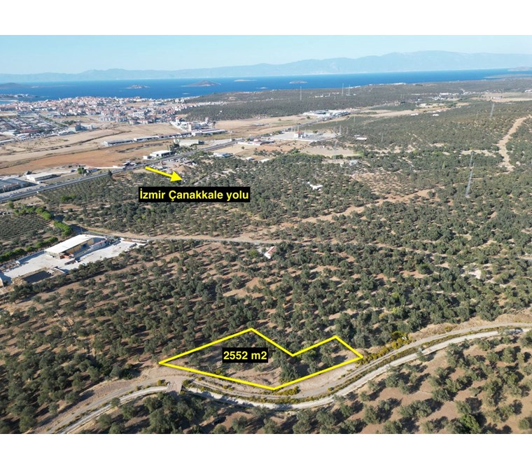 ALTIN EMLAKTAN KAZIMKARABEKİRDE 2.552 M2 SATILIK ZEYTİNLİK