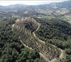 ERDEK Çayağzı Mahallesinde Ceviz İşletim Tesisi Kurulu ,Deniz Manzaralı TARLA