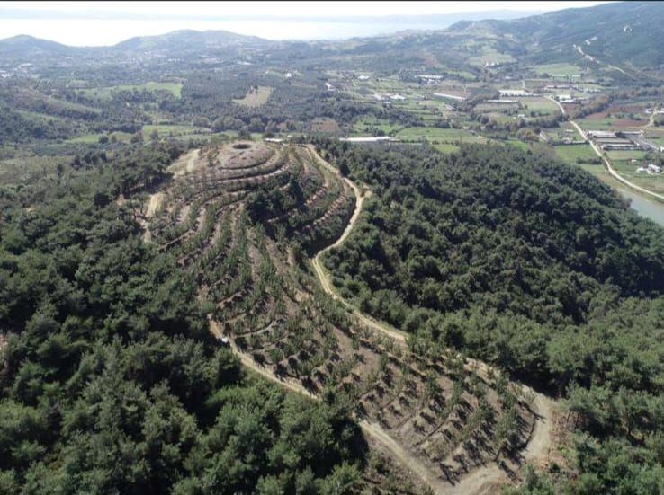 ERDEK Çayağzı Mahallesinde Ceviz İşletim Tesisi Kurulu ,Deniz Manzaralı TARLA