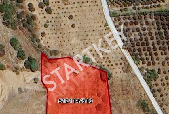 Property-photo