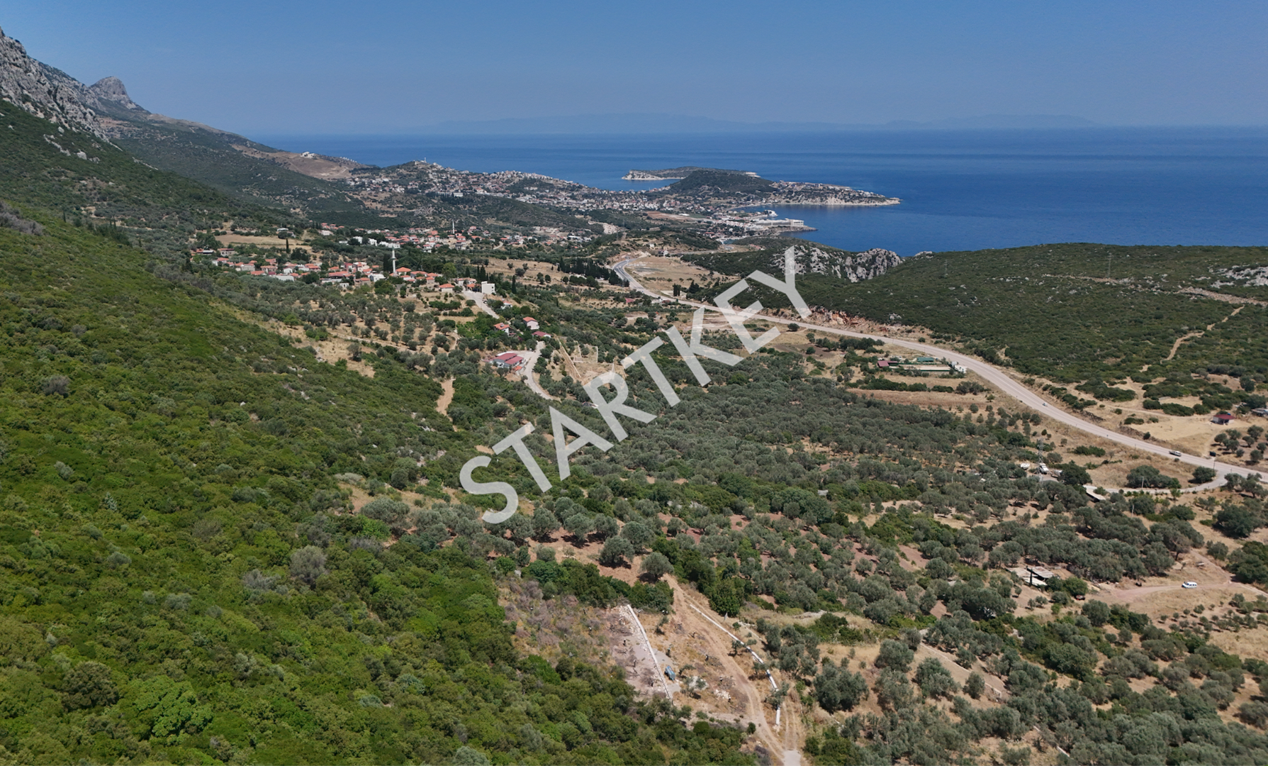 Property-photo