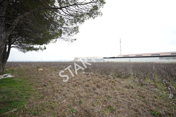 Property-photo